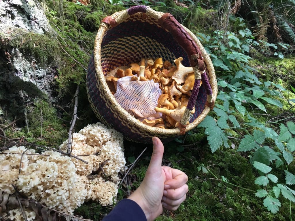 wild mushrooms, side hustle