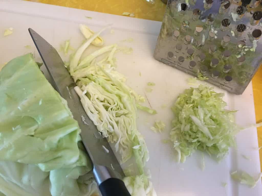 shredded cabbage for sauerkraut