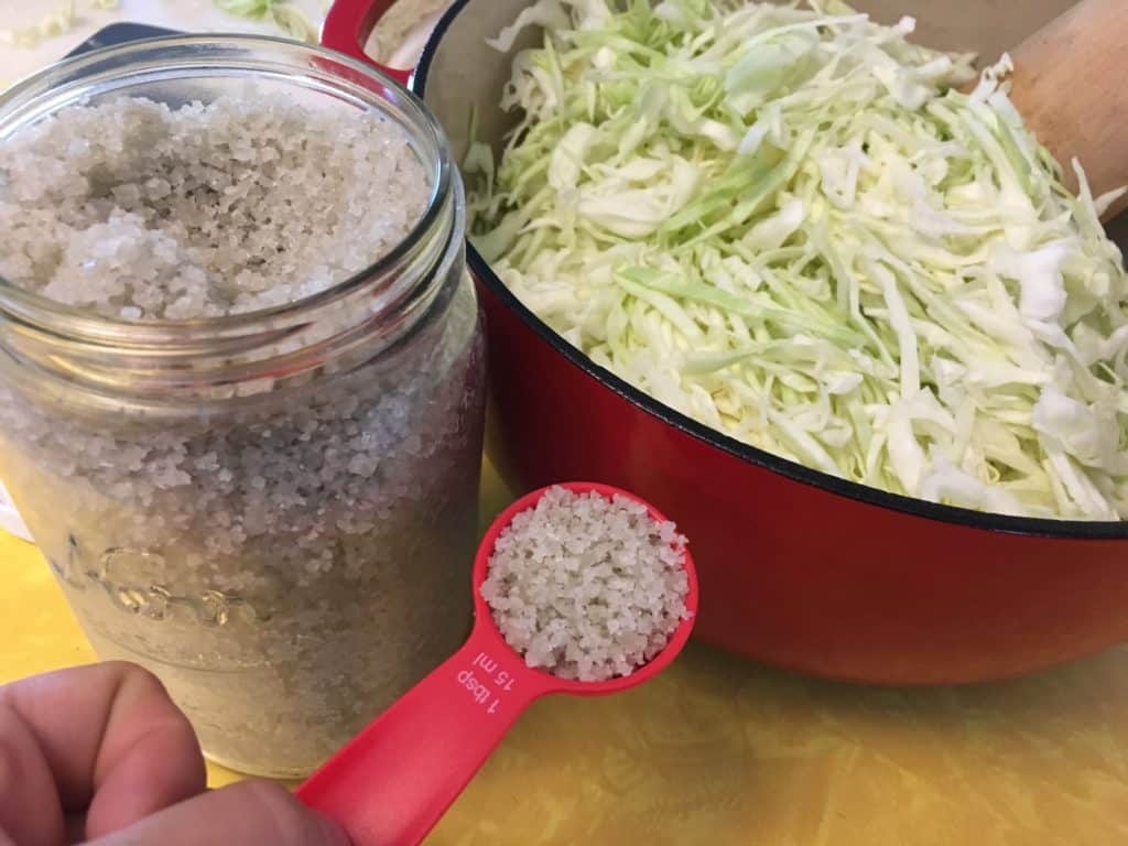 adding salt to shredded cabbage to assist healthy fermentation