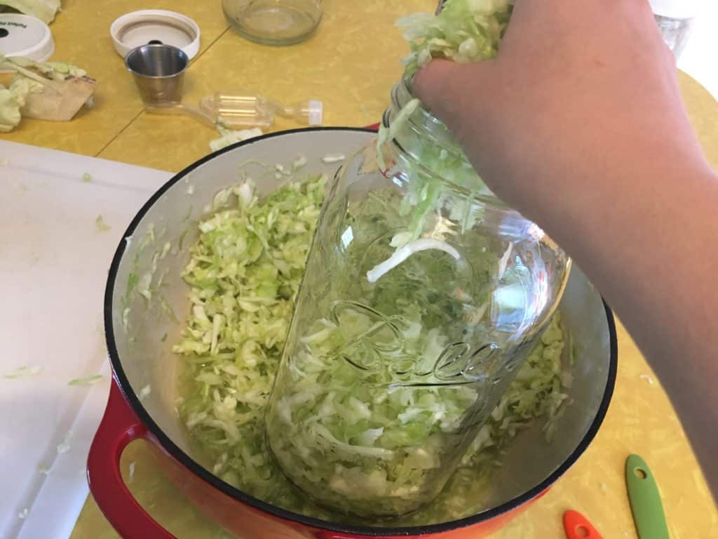 cabbage getting packed into jar to from homemade sauerkraut recipe