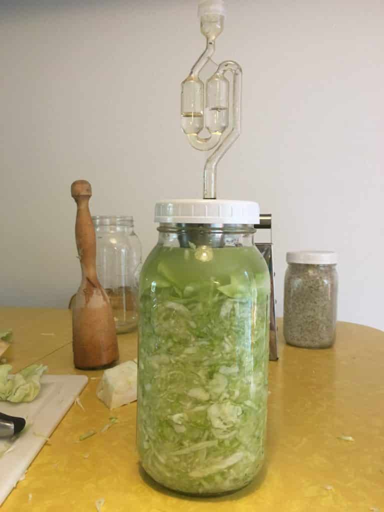 sauerkraut packed into jar with fermentation lid ready to process